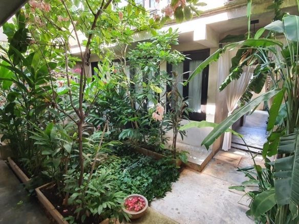 Patio interior con jardín tropical del hotel