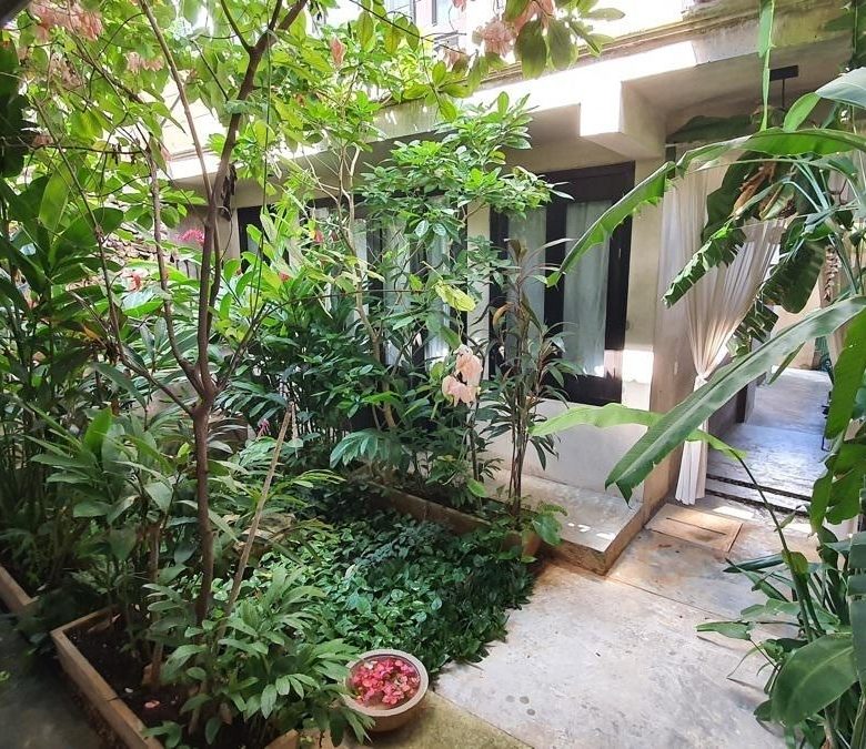 Patio interior con jardín tropical del hotel