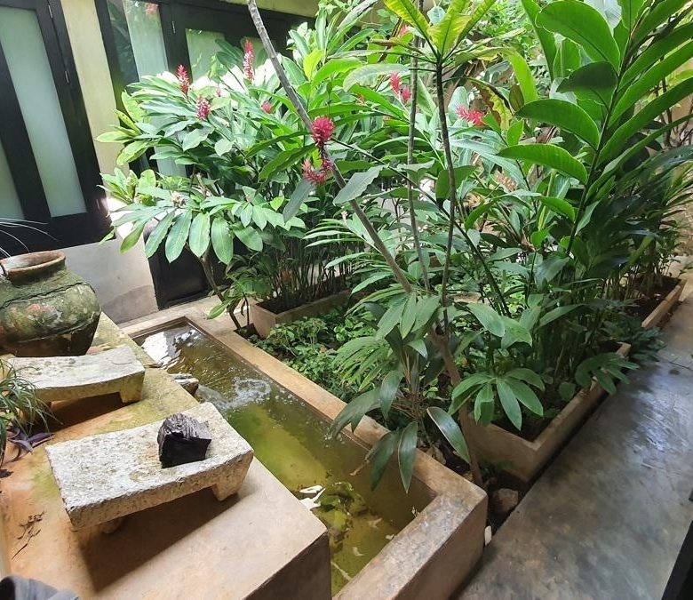 Fuente de piedra y plantas en el patio interior