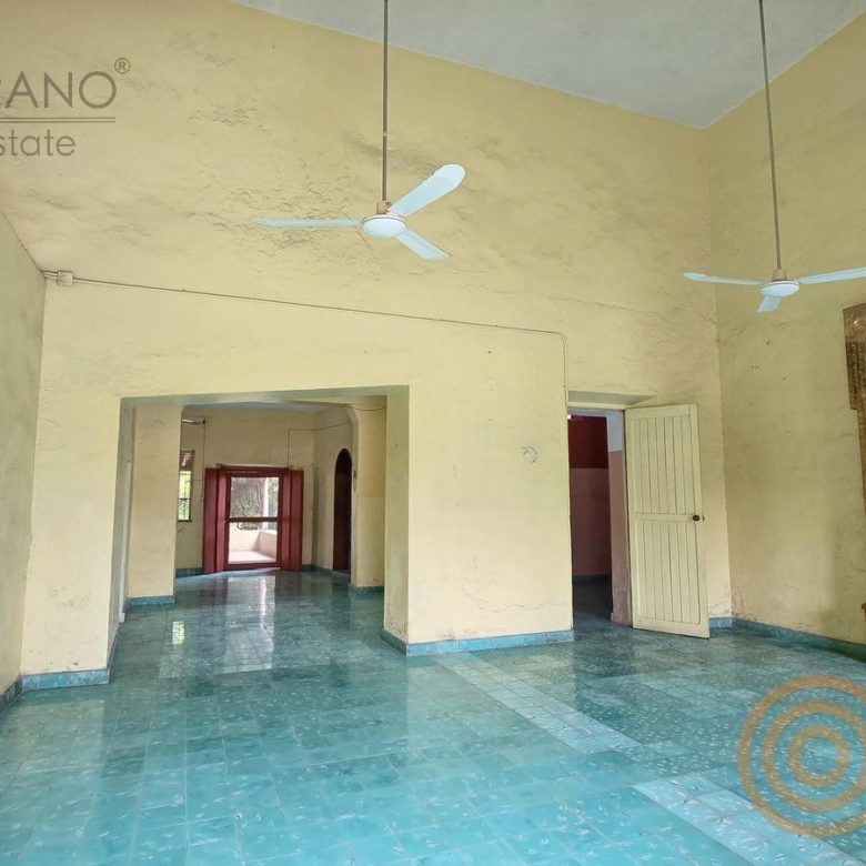 Salón con puertas y espejo de marco tallado