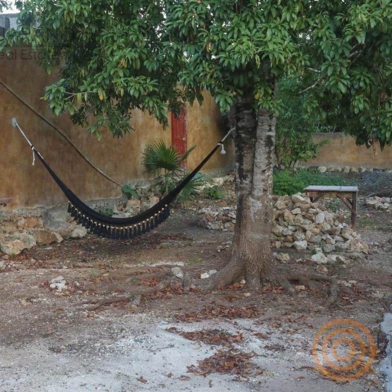 Patio amplio con árbol y hamaca