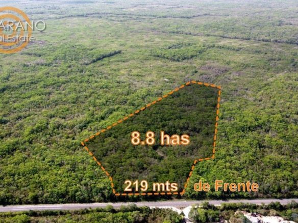 Vista aérea del terreno de 8.8 hectáreas con 219 m de frente a la carretera