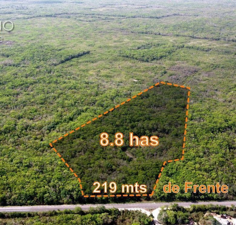 Vista aérea del terreno de 8.8 hectáreas con 219 m de frente a la carretera