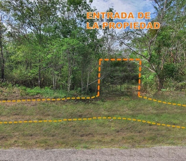 Entrada de la propiedad sobre la carretera