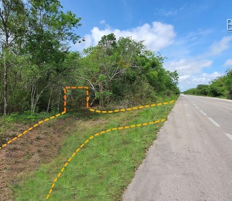 Frente del terreno sobre la carretera entre vegetación