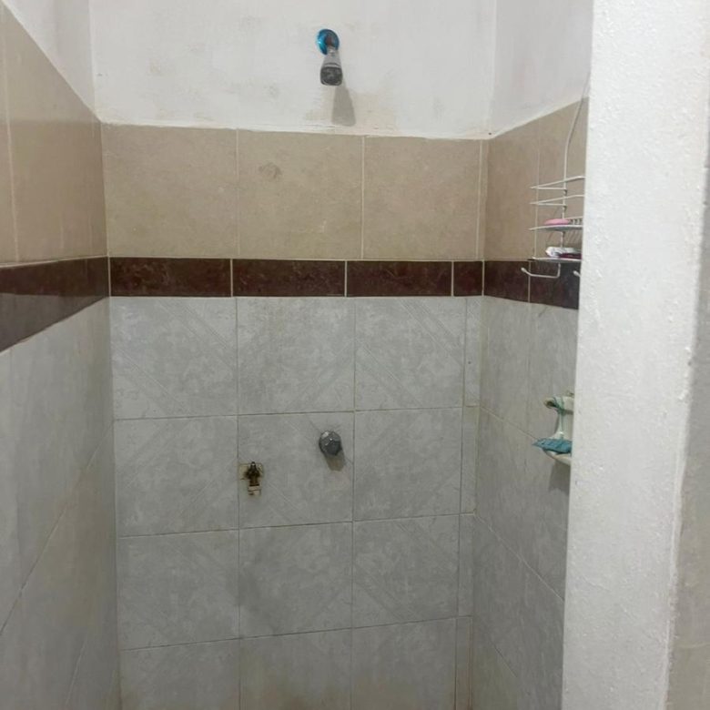 Regadera de un departamento