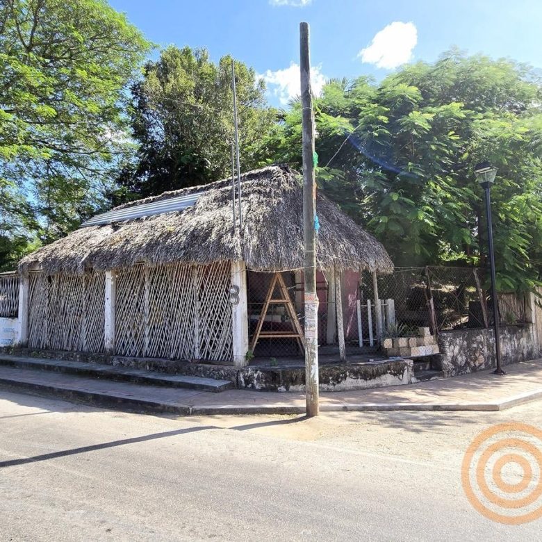 Palapa del local comercial vista desde la avenida