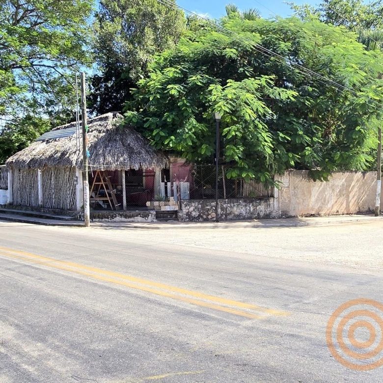 Fachada de la propiedad con árboles y barda sobre la calle
