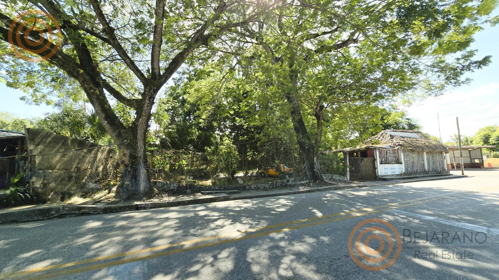 bre-cv-cuncunul-04 Árboles grandes junto a la avenida frente a la propiedad