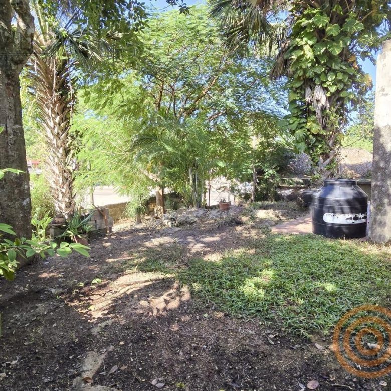 Jardín amplio con árboles y estacionamiento