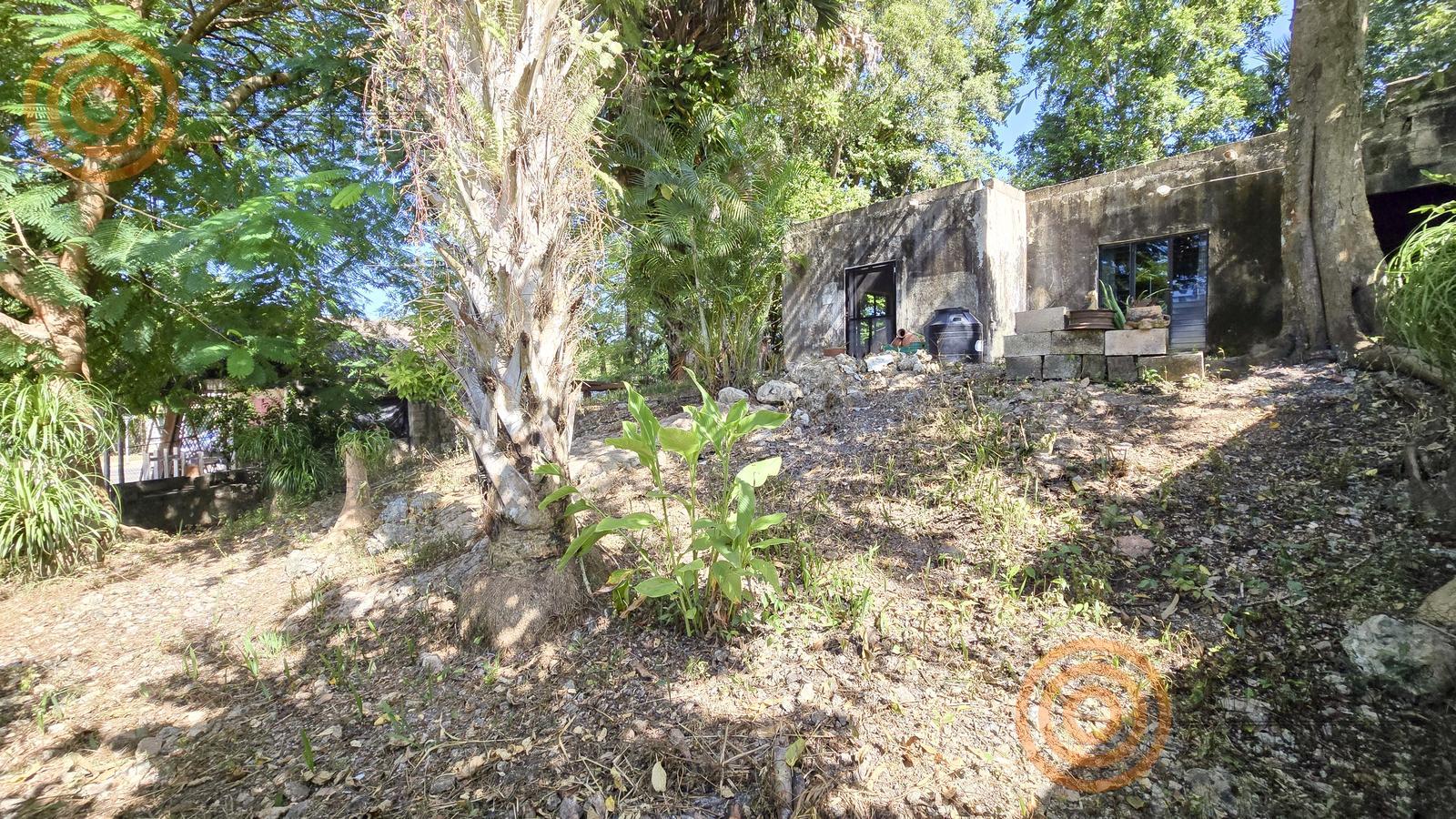 bre-cv-cuncunul-17 Jardín con palmas y construcción al fondo