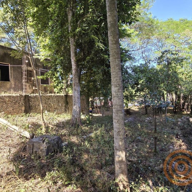 Vista del jardín y de la construcción trasera