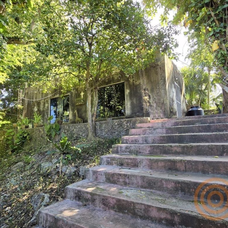 Escalinata de acceso entre la vegetación del terreno