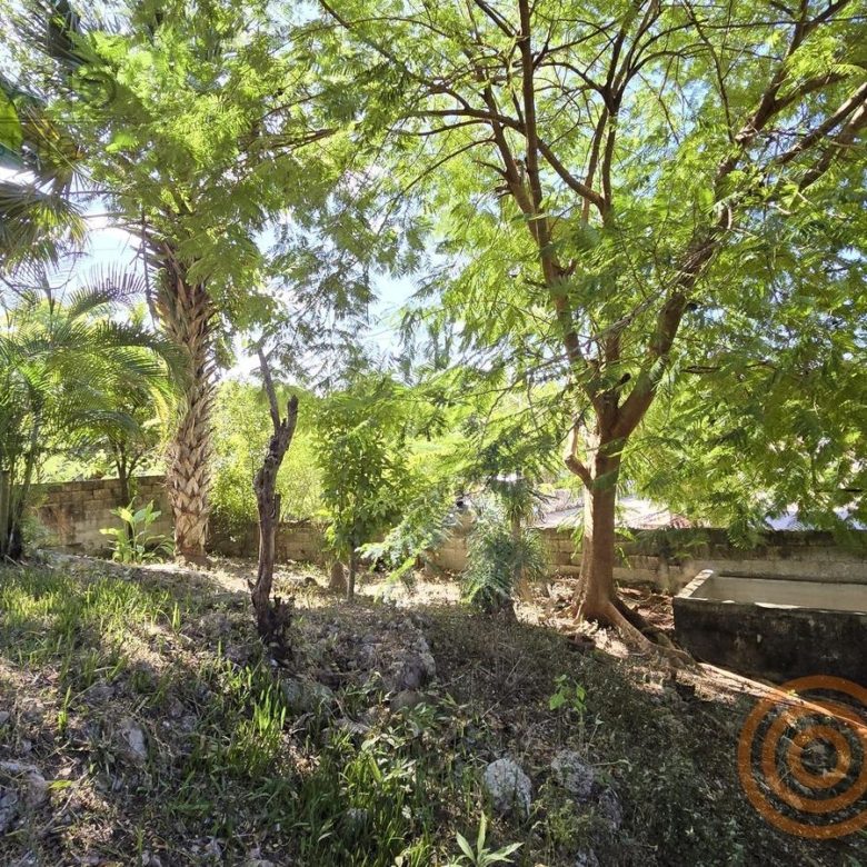 Jardín con árboles frutales y amplio espacio