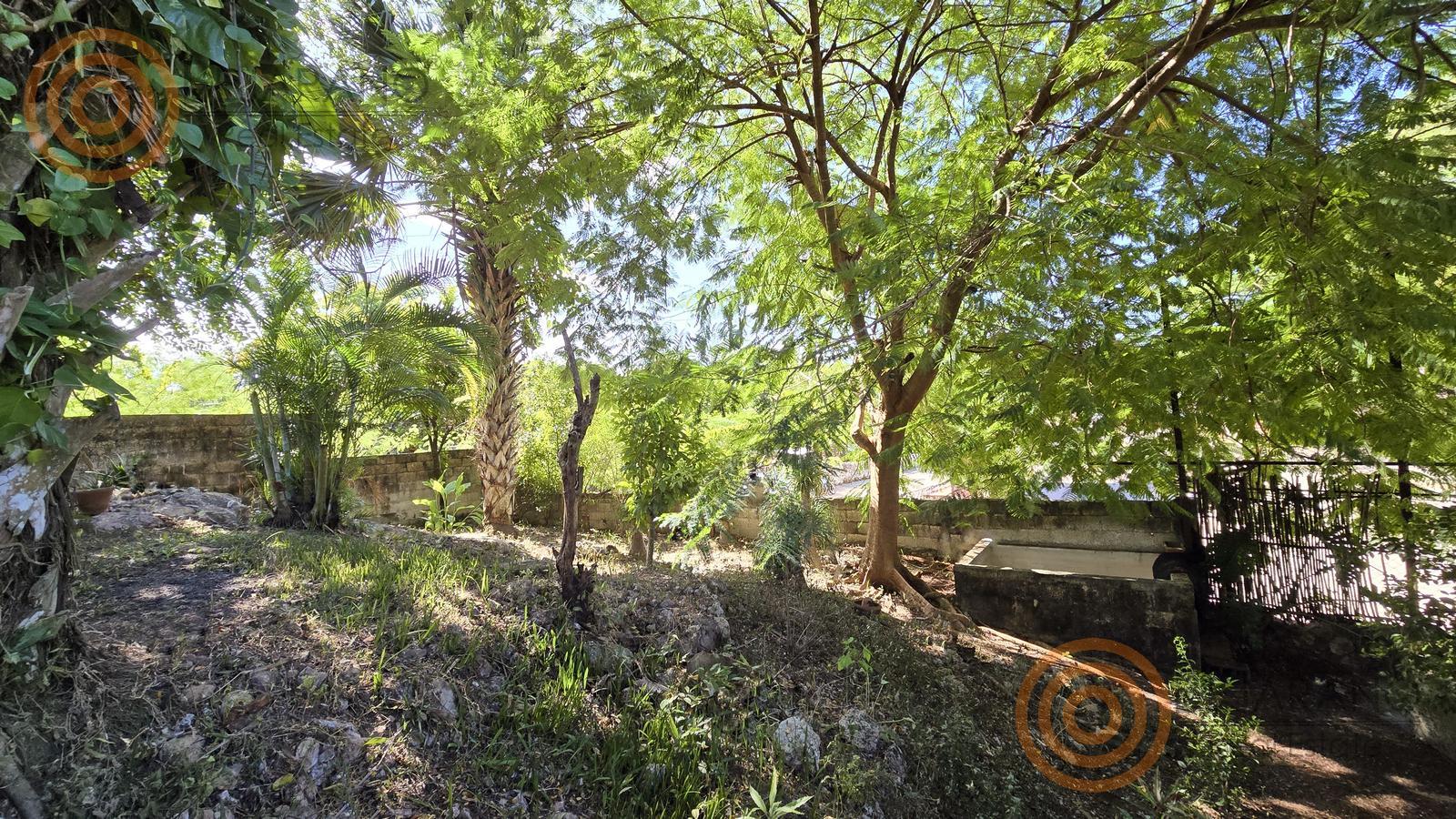 bre-cv-cuncunul-23 Jardín con árboles frutales y amplio espacio