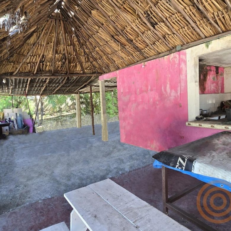 Barra y mesa dentro de la palapa del local