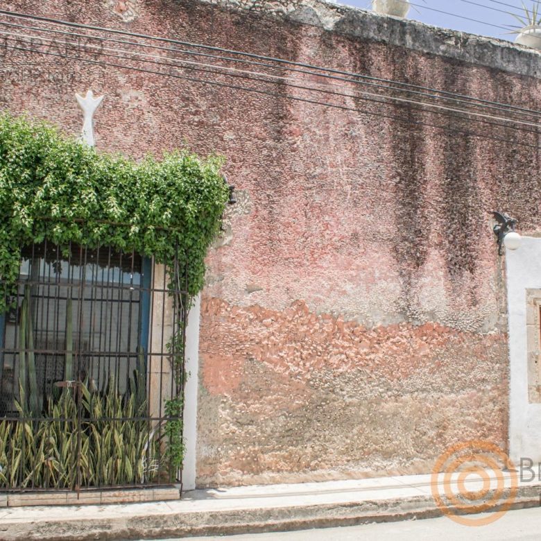 Ventana con reja y vegetación en el muro de la casa colonial