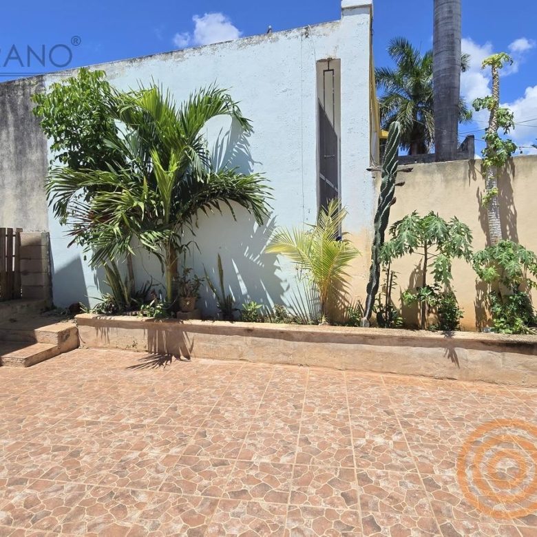Patio frontal con plantas y jardinera