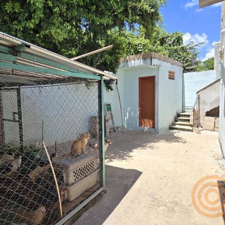 Área para mascotas y bodega en el patio