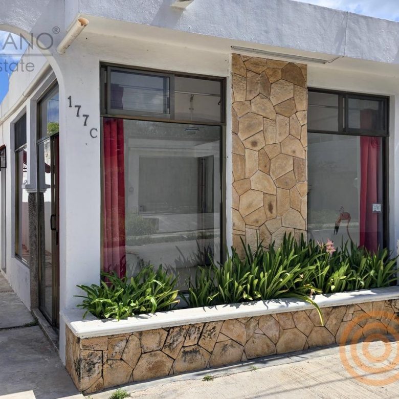 Fachada de la casa con local comercial y jardinera de piedra