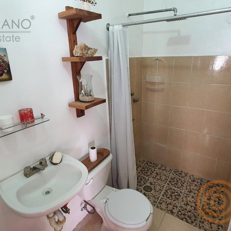 Baño con regadera de azulejo y lavabo