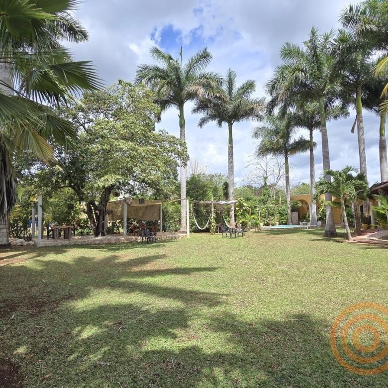 Jardín amplio con palmeras del hotel