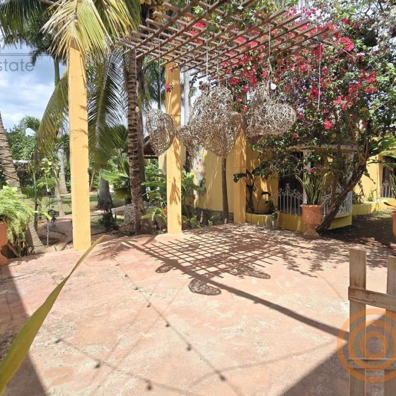 Pérgola con buganvilia y área de descanso del hotel