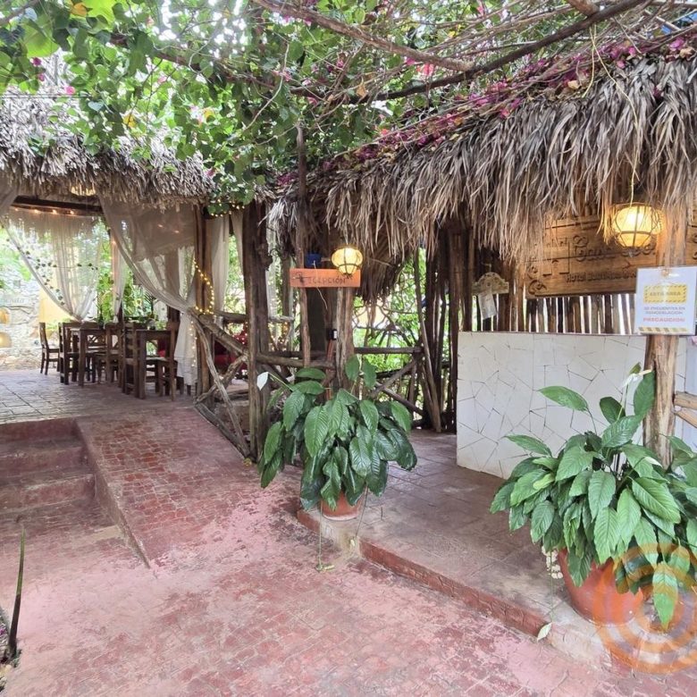 Entrada a la cafetería bajo palapa entre plantas