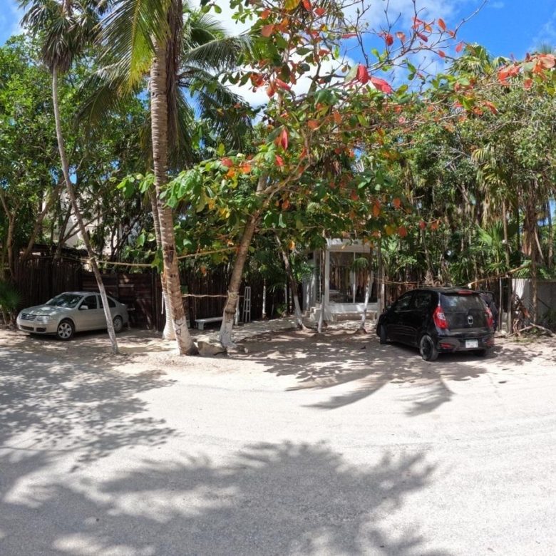 Calle de acceso al terreno en Tulum con vegetación y autos estacionados