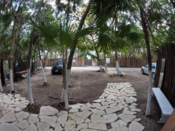 Patio del terreno con andadores de piedra y palmeras