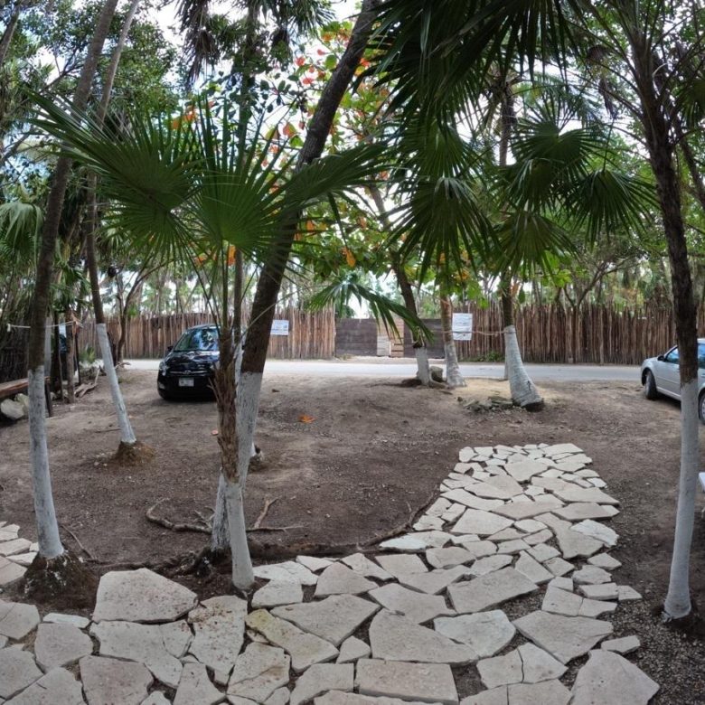 Patio del terreno con andadores de piedra y palmeras