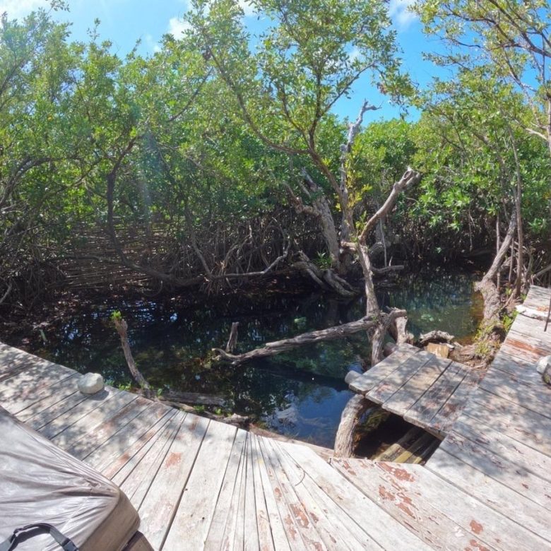 Muelle de madera sobre el cenote