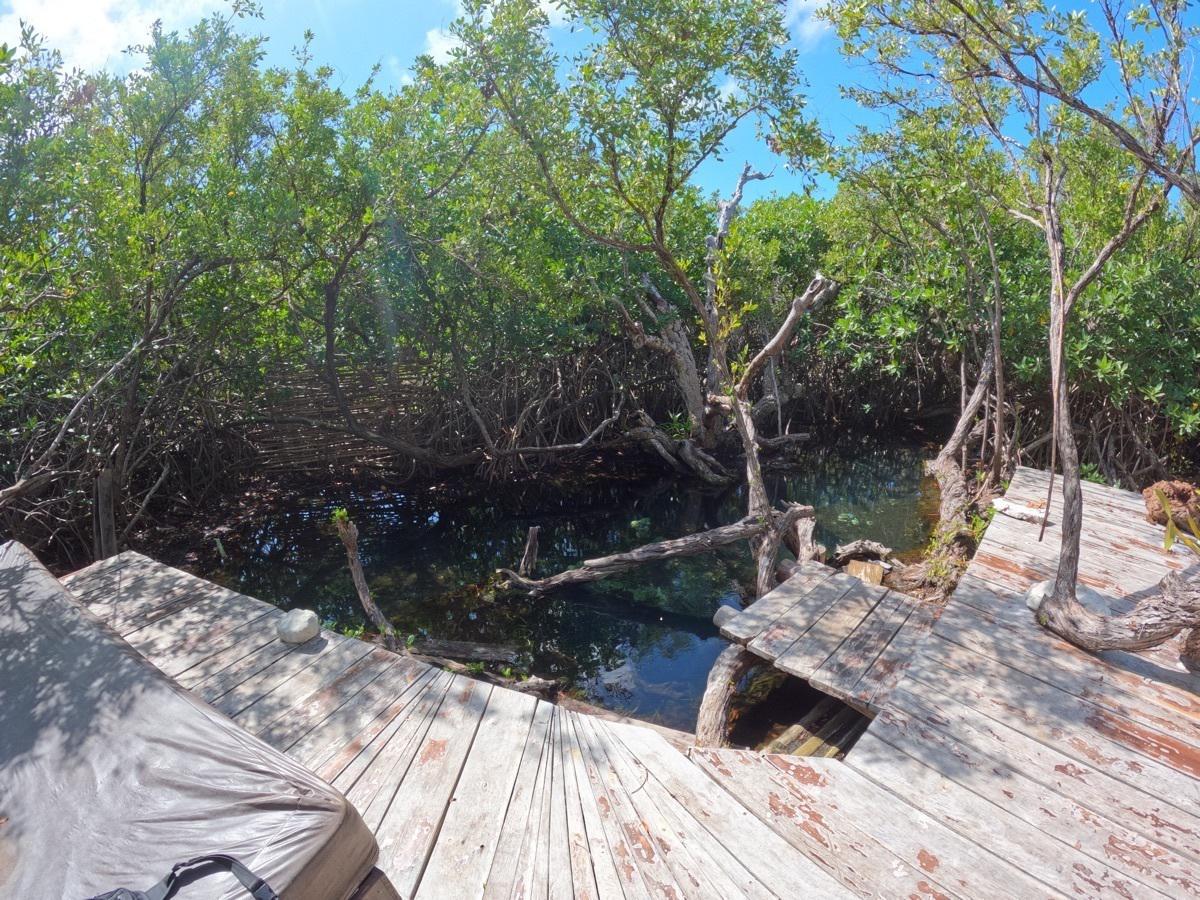 bre-pila-tul23-10 Muelle de madera sobre el cenote