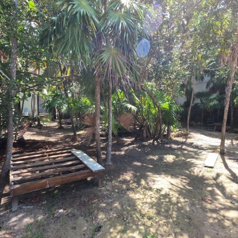 Área de descanso con palmeras dentro del terreno