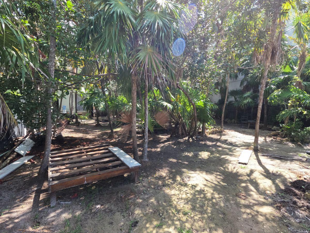 bre-pila-tul23-12 Área de descanso con palmeras dentro del terreno