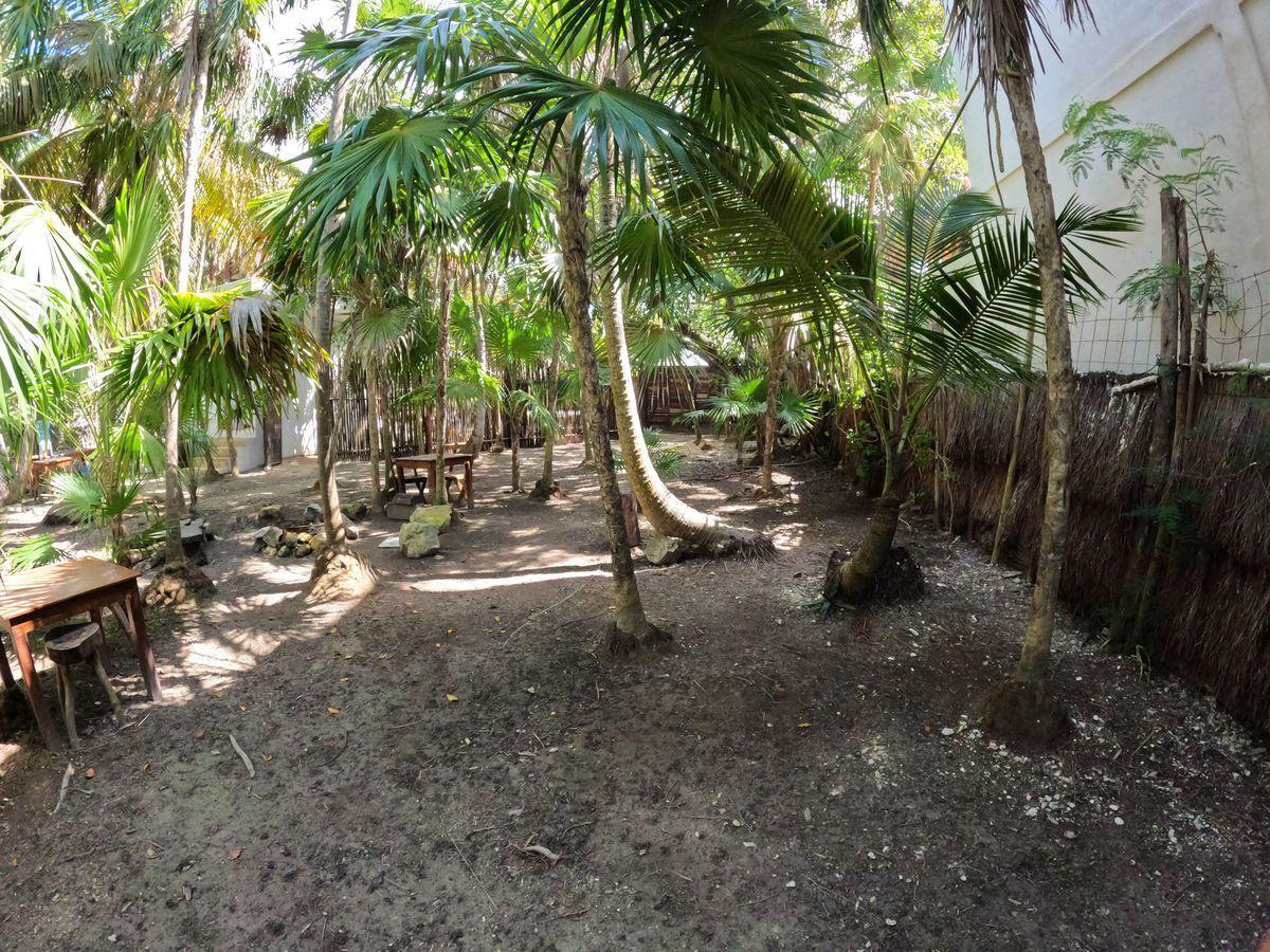 bre-pila-tul23-13 Jardín con palmeras y mesas de madera