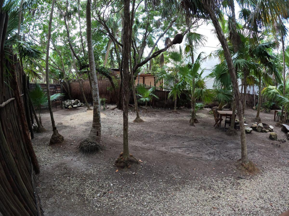 bre-pila-tul23-15 Patio con árboles y mesas de madera