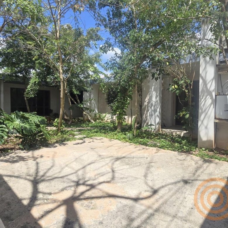 Patio con jardín y árboles dentro de la oficina