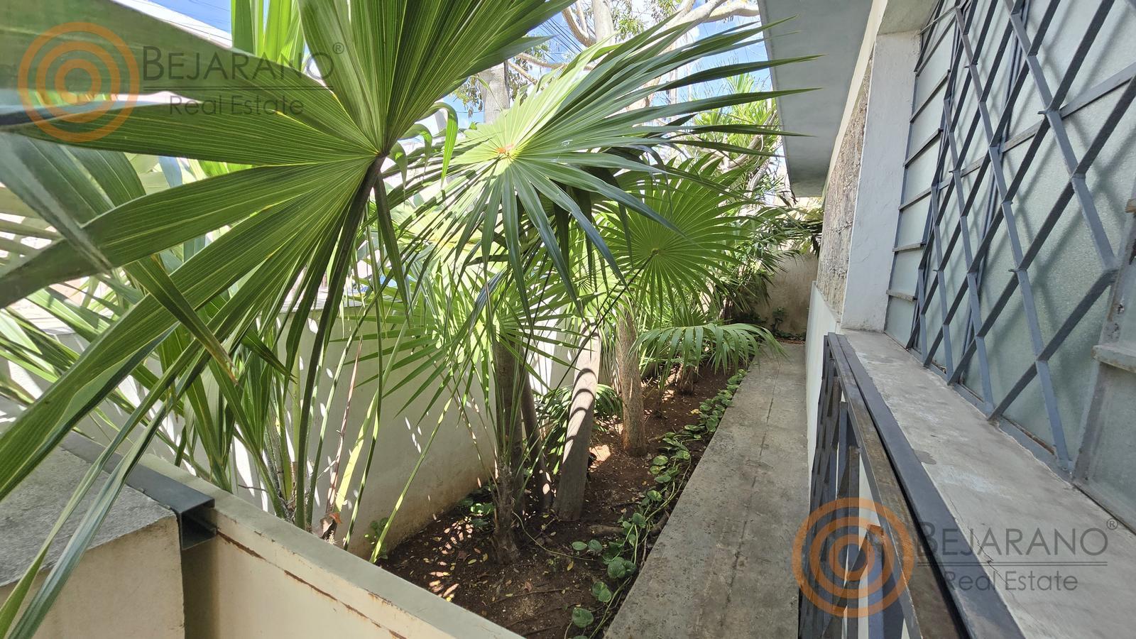 bre-ro-snjuan-22 Palmas y celosía en el corredor del jardín