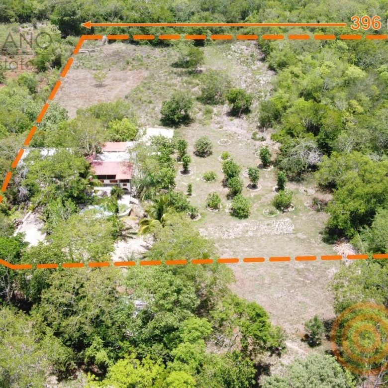 Vista aérea del rancho de 6.9 ha en Ebtún, Valladolid, con el límite del terreno marcado