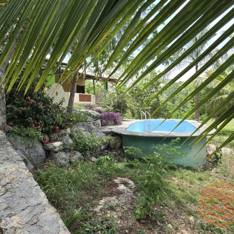 Alberca entre palmeras en el rancho de Ebtún