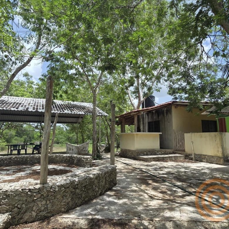 Área exterior con muro de piedra junto a la casa del rancho