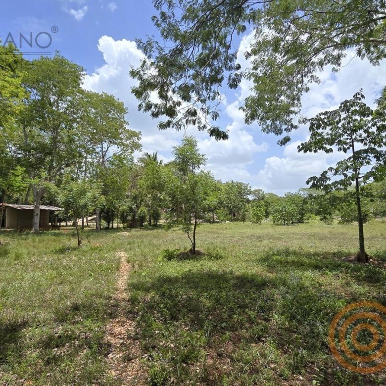 Potrero abierto dentro del rancho de 6.9 ha en Ebtún