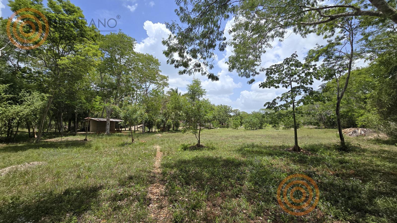 bre-rv-ebtun-14 Potrero abierto dentro del rancho de 6.9 ha en Ebtún
