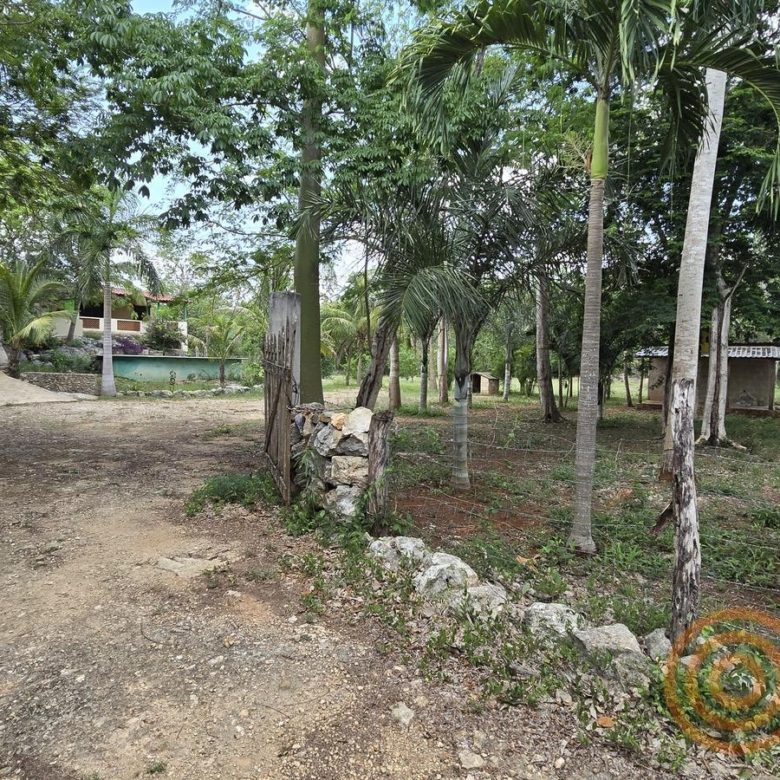 Camino interior del rancho en venta en Ebtún