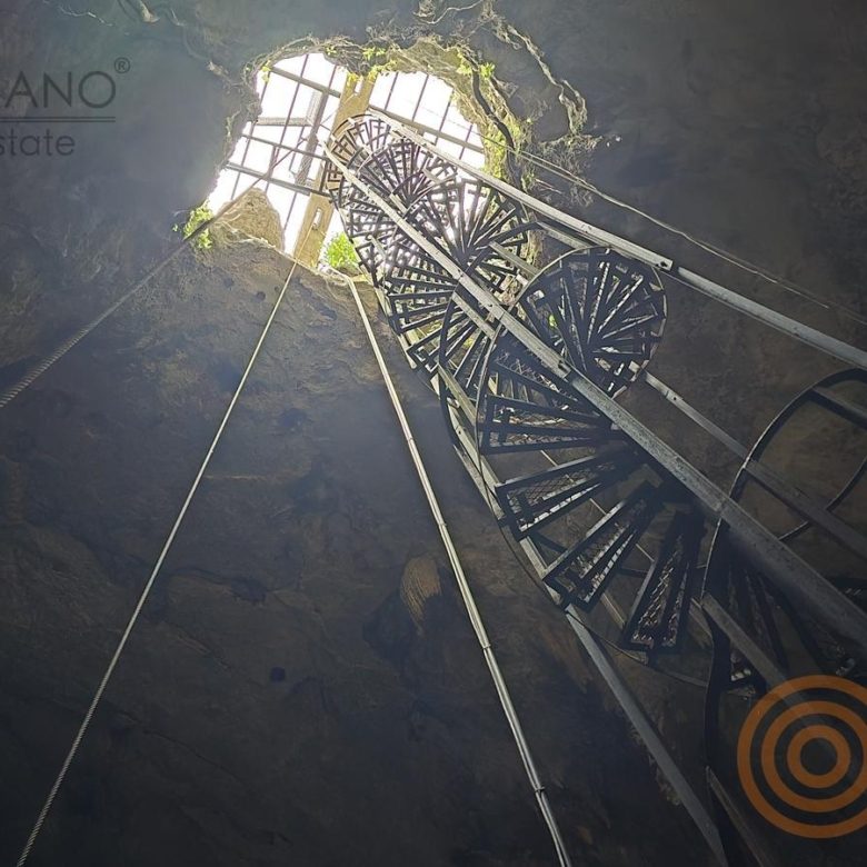 Vista hacia la apertura del cenote desde el nivel del agua