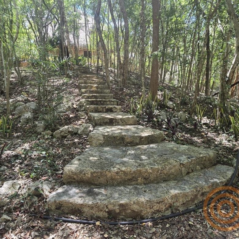 Escalera de piedra en un sendero entre la selva