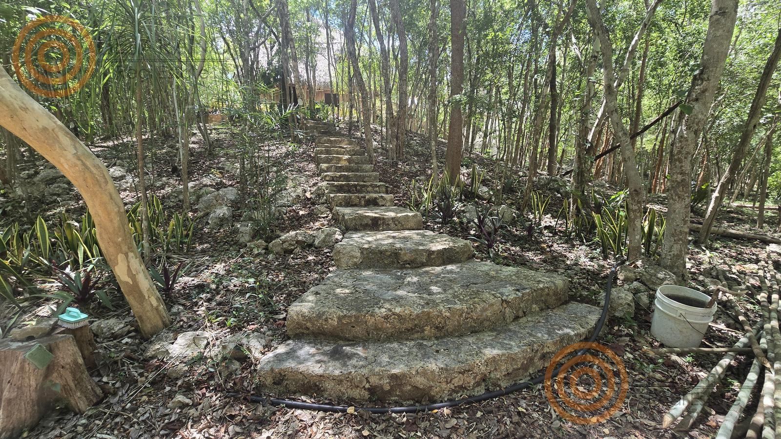 bre-rv-tixcalcupul-380-16 Escalera de piedra en un sendero entre la selva