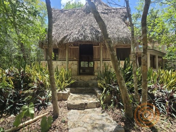 Palapa con techo de huano entre plantas del jardín
