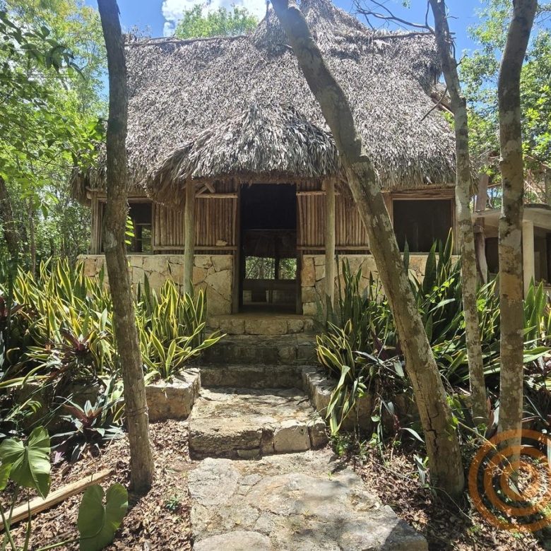 Palapa con techo de huano entre plantas del jardín